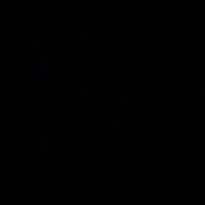 Meet your Posher, Samer